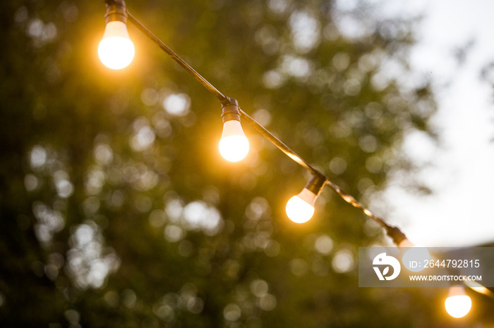 Garden lights on a string