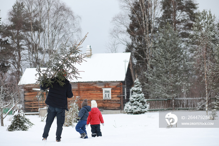 A man with a cut Christmas tree on street. Preparation for the new year.