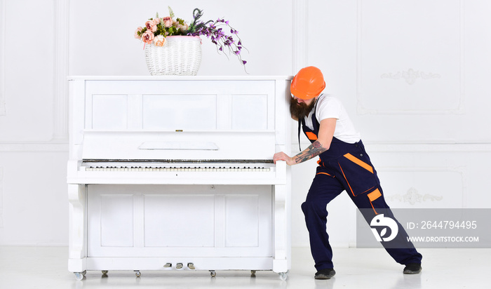 Man with beard worker in helmet and overalls pushes, efforts to move piano, white background. Loader