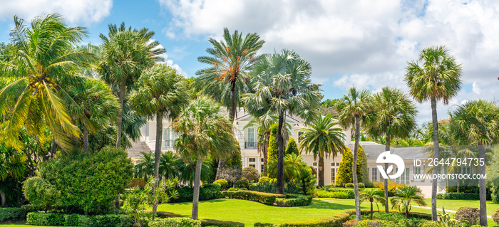 Luxurious mansion with palm trees in Miami Beach, florida, USA