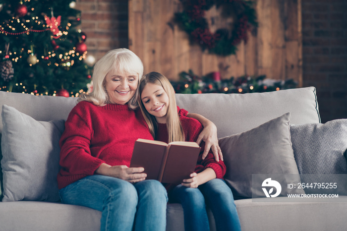 Portrait of nice attractive lovely charming cute cheerful peaceful granny grandchild sitting on diva