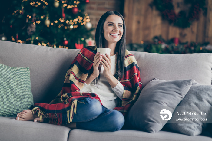 Full body photo of calm girl sit divan covered checkered plaid blanket have noel relax in her house 