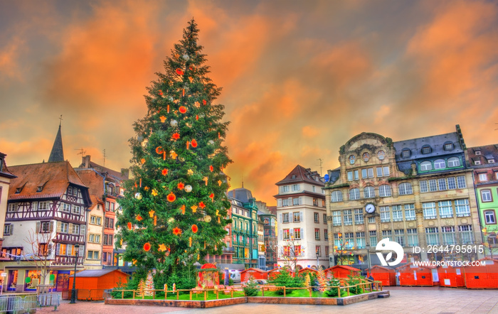 Christmas tree on Place Kleber in Strasbourg, France