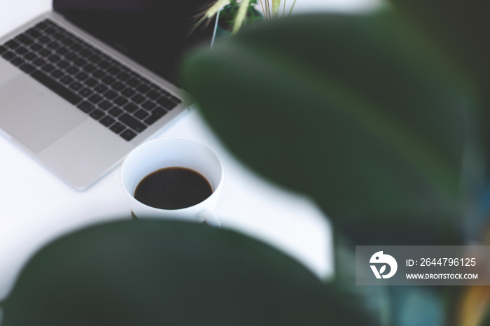 Freelancer workplace, laptop, coffee cup and potted plant on white table