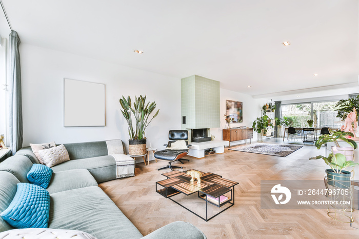 Bright living room in a modern luxury house