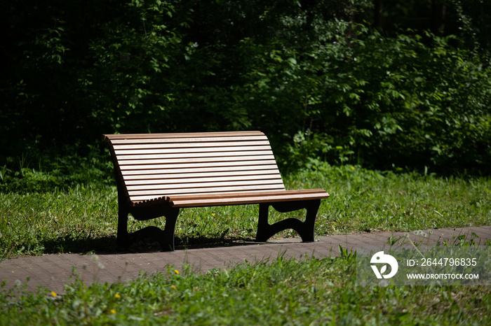 Wooden benches in the park. City park architecture.