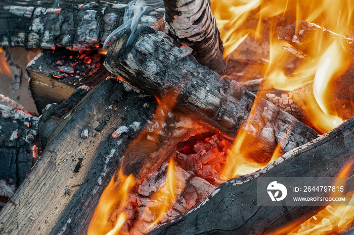 Campfire of flames and smoke burn logs ~FIRESIDE~