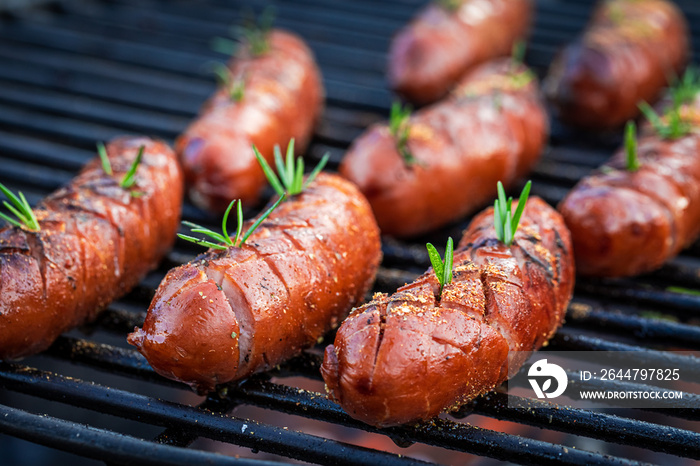 Spicy sausage on grill with spices. Grill in garden.