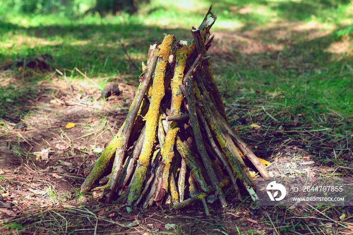 Brushwood for campfire . Log for picnic fire