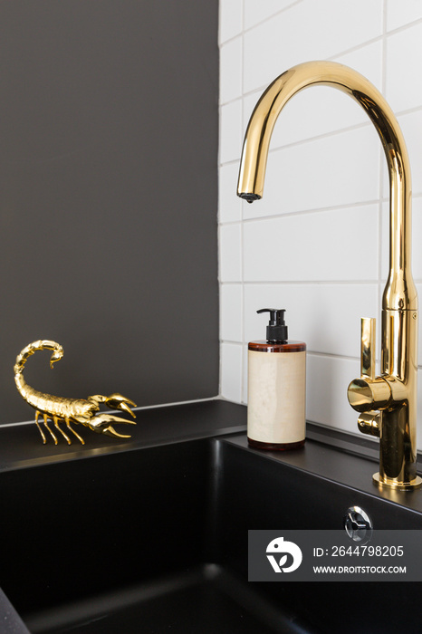 Interior home styling classic and modern kitchen golden water tap