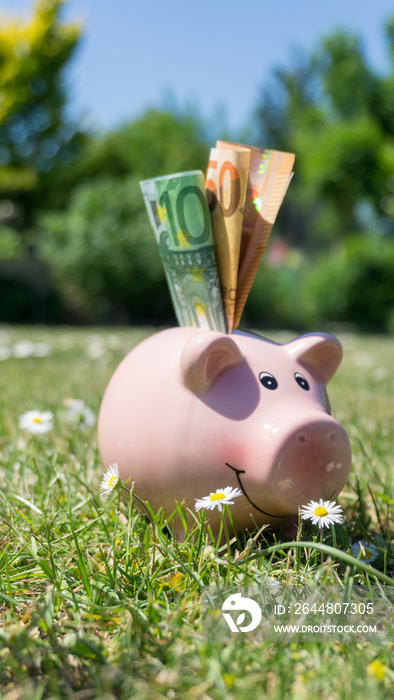 pinkes Sparschein mit Euro Geldscheinen im Garten bei schönem Wetter