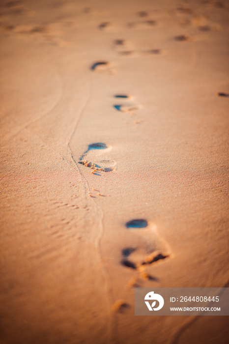 footprints in the sand on the beach.  ocean shore with traces of walking. summer and vacation on the