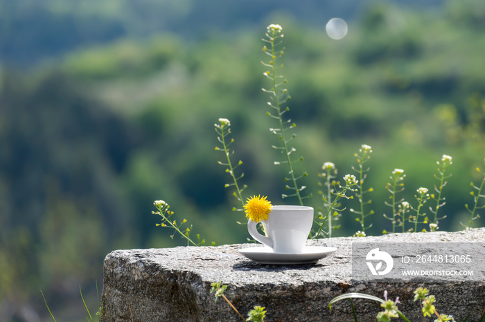 咖啡杯或马克杯放在天然石桌上，背景是模糊的绿色山脉。享受新鲜