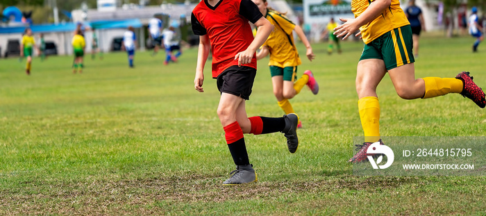 Young Soccer Players Learning The Game