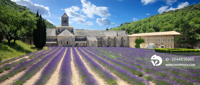 France- Abbaye de Sénanque