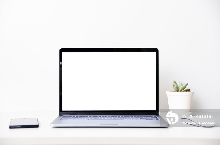 blank screen Modern laptop computer with mouse,Smart phone and Succulent on wood table in office vie