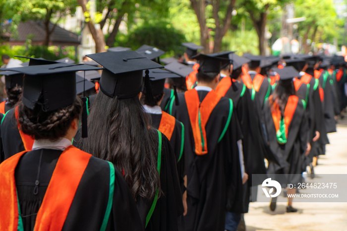 Rear view of group of university graduates in black gowns lines up for degree in university graduati