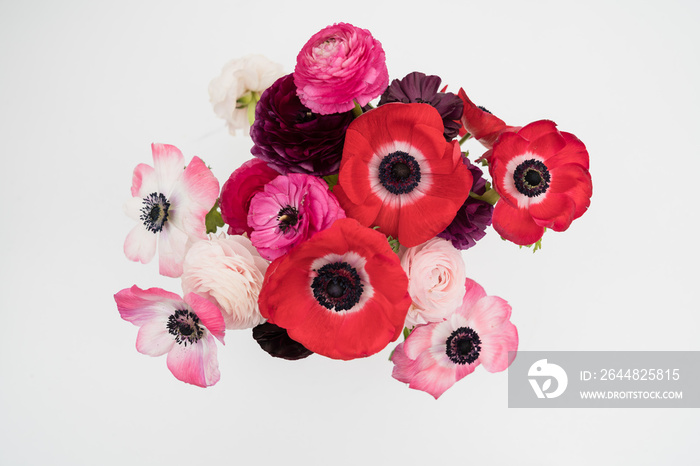 Pink blush and maroon ranunculus and anemone flowers flat lay