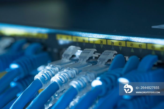 技术数据中心室内的网络电缆和千兆交换机端口或LAN UTP cat6电缆。特写