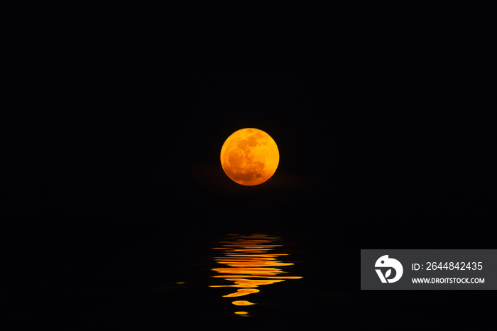 The red full moon in the twilight hour.