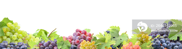 Grapes on a white background