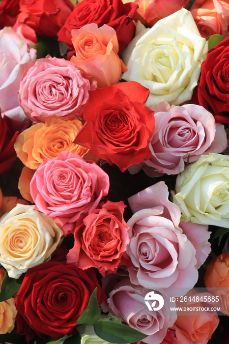 Colorful wedding roses