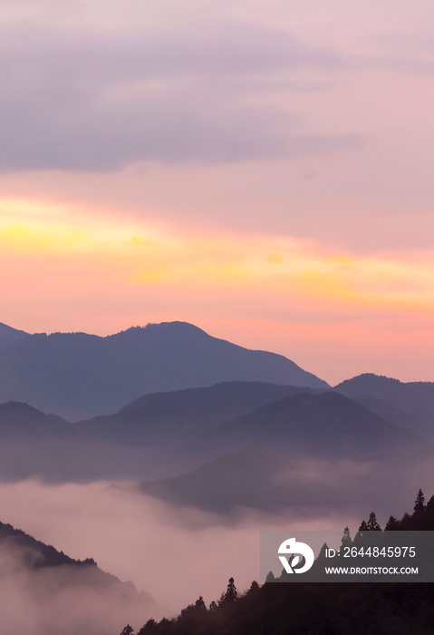 雲海