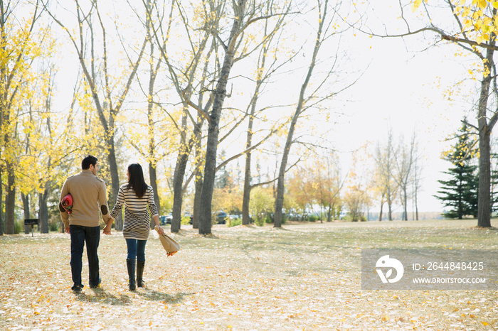 年轻夫妇在公园散步的后视图