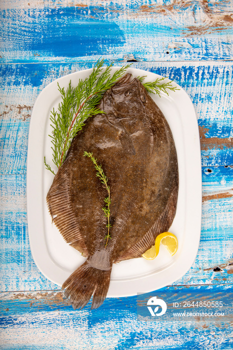 Close up Fresh Turbot fish or flatfish (Psetta maxima). Psetta maxima (Turbot Fish) on wooden floor