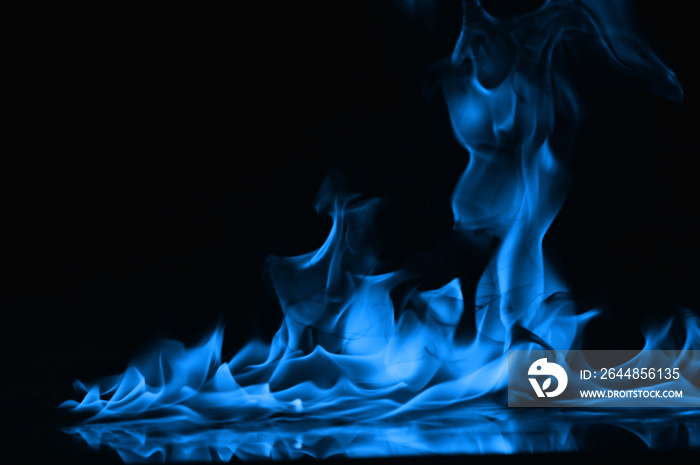 Beautiful fire blue flames on a black background.