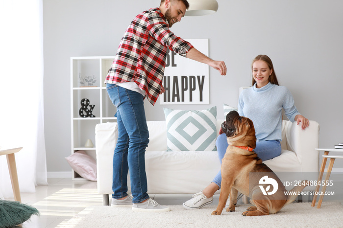 Happy couple training cute dog at home