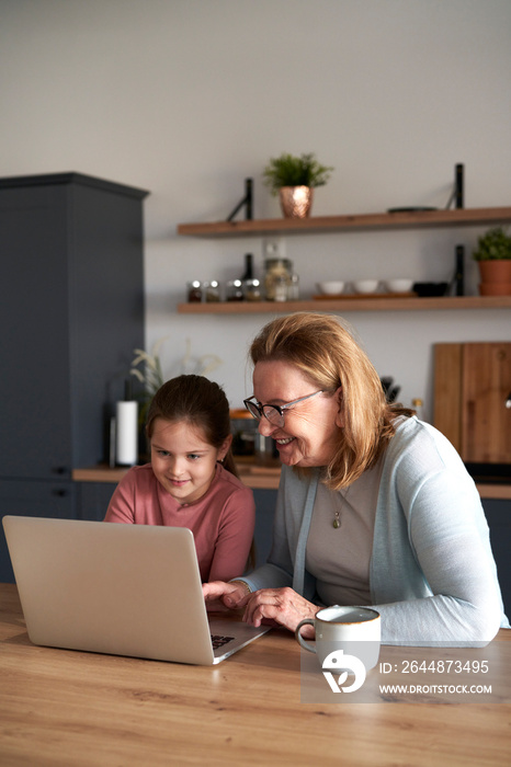 Grandmother and her granddaughter using laptop in kitchen