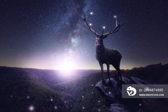 Großer Hirsch steht auf einem Felsen in der Nacht mit Milchstraße im Hintergrund