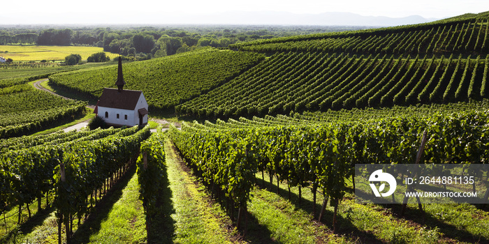 Eichert Kapelle in den Weinbergen bei Jechtingen im Kaiserstuhl