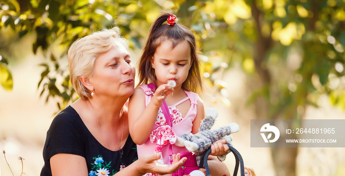 Great-grandmother and granddaughter standing in flower field in sunlight