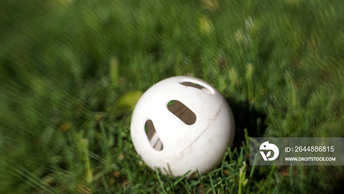 White plastic Wiffle ball in the grass with blurred background for copy space