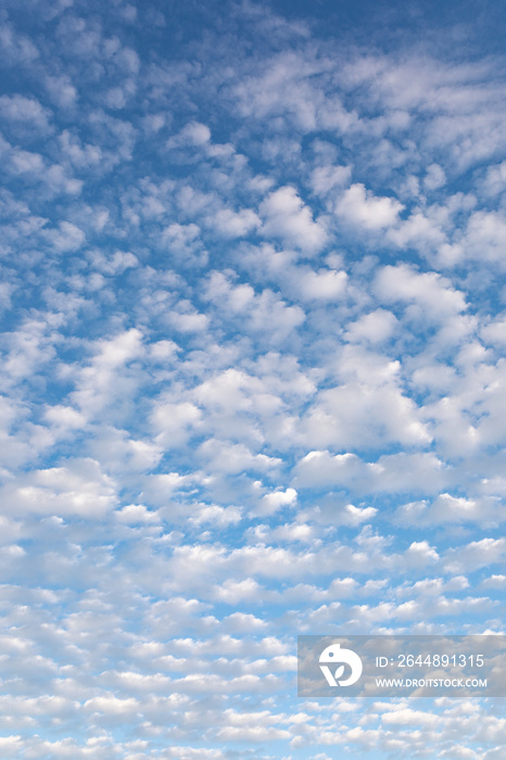Cirrocumulus clouds against blue sky cloudscape background pattern