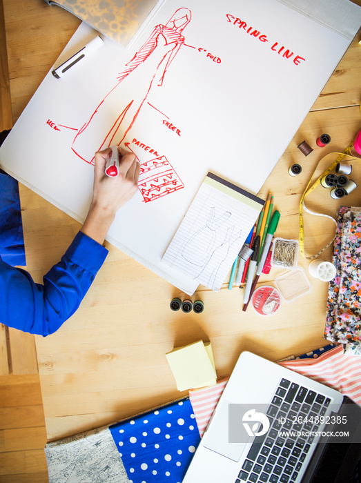 Businesswoman working in home office