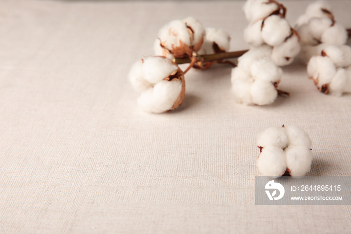 Cotton flowers on fabric, closeup