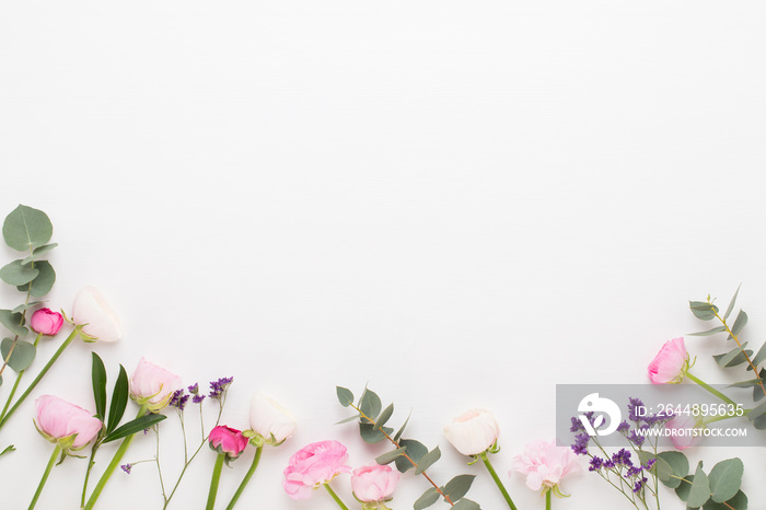 Beautiful colored ranunculus flowers on a white background.Spring greeting card.