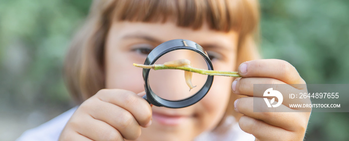 Child with a magnifying glass in his hands. Selective focus.