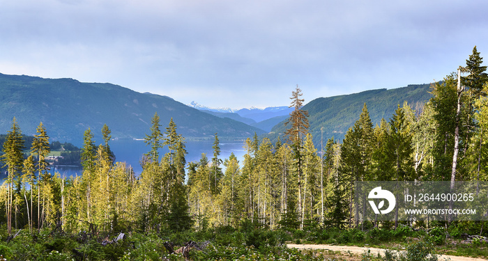 shuswap lake