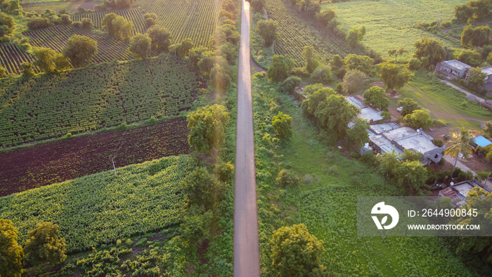 Green fields and road aerial view