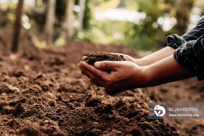 Hand of farmer inspecting soil health before planting in organic farm. Soil quality Agriculture, gardening concept.