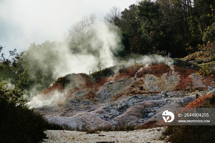 fire in the forest , image taken in Follonica, grosseto, tuscany, italy , larderello desert