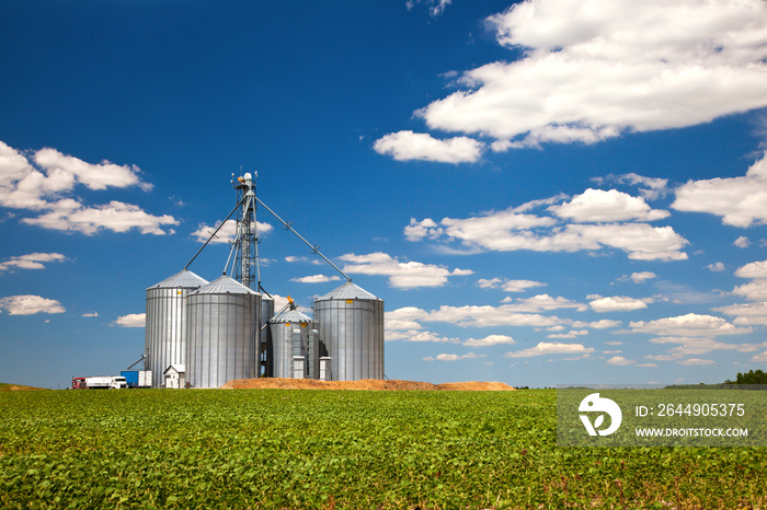 Farm tin silos storage towers in greenw crops view