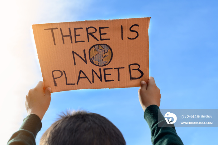 Boy with unrecognizable back holding a sign towards the sky that reads  There is no planet B . Concept of a climate change protest.