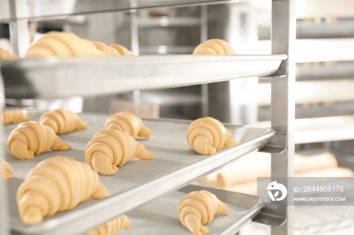 Trays with uncooked sweet croissants in bakery