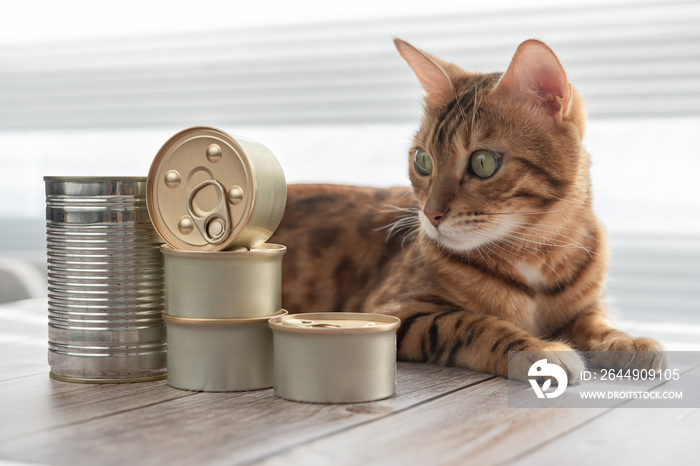 The cat lies and looks at the canned food.