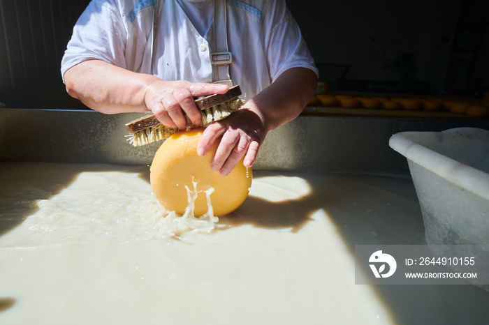 Workers preparing raw milk for cheese production